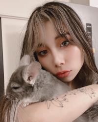 chinchilla babies